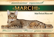 рекламный макет 2