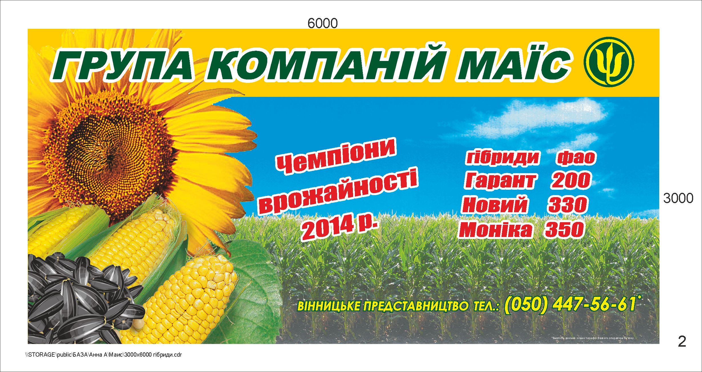 Маис