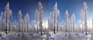 фото8.jpg