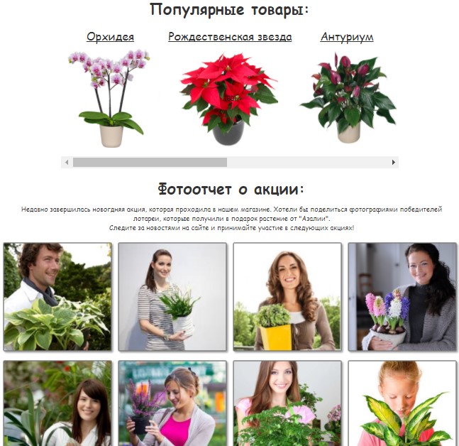 Некоммерческий проект "Магазин"