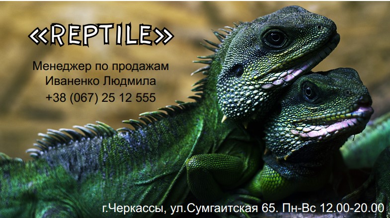 Визитка (фото мое)