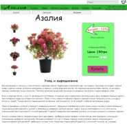 Некоммерческий проект "Магазин"