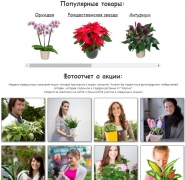 Некоммерческий проект "Магазин"