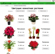 Некоммерческий проект "Магазин"