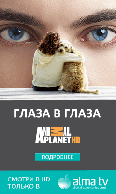 Анімаційні банери