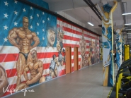 Arlex Gym