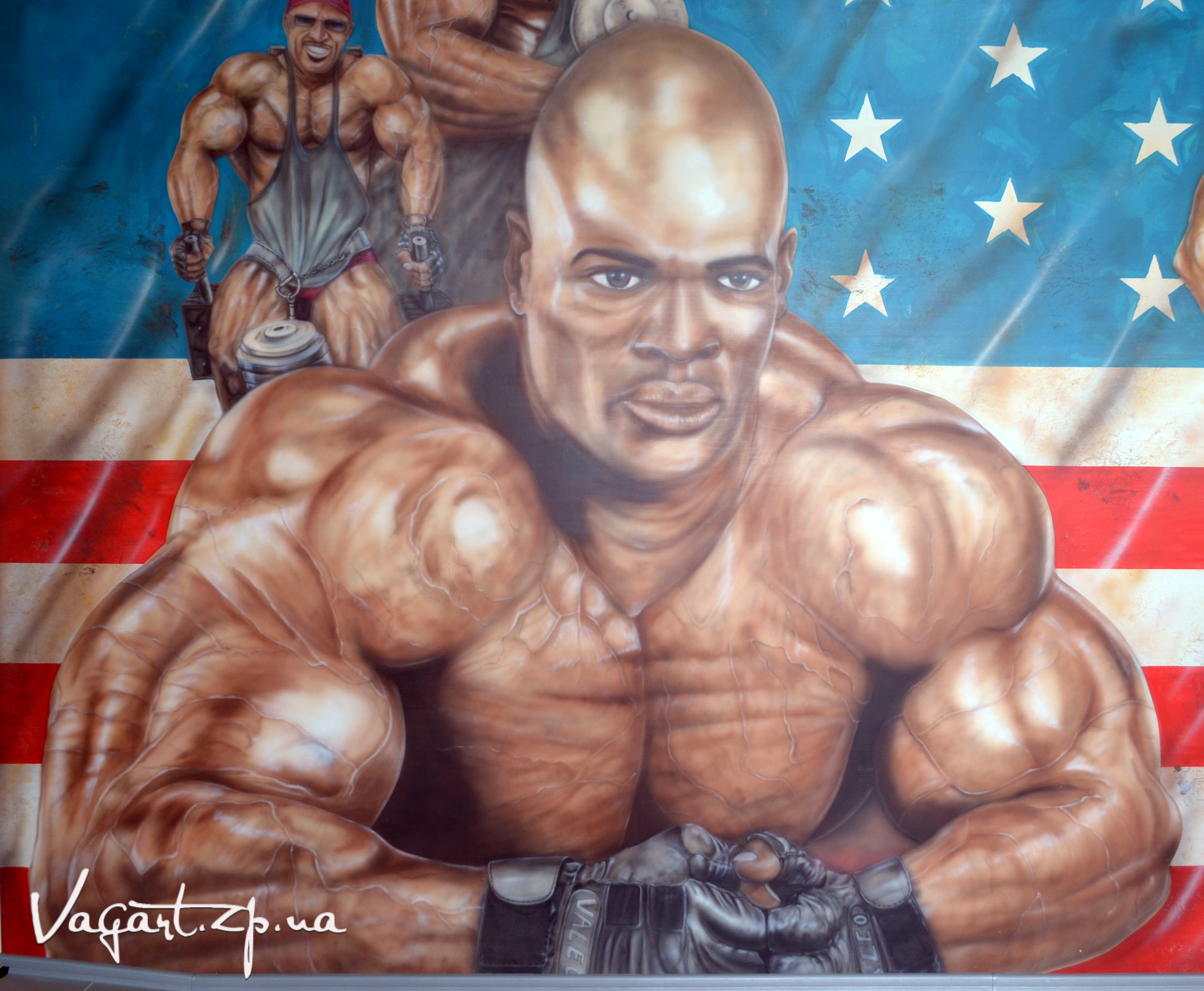 Arlex Gym