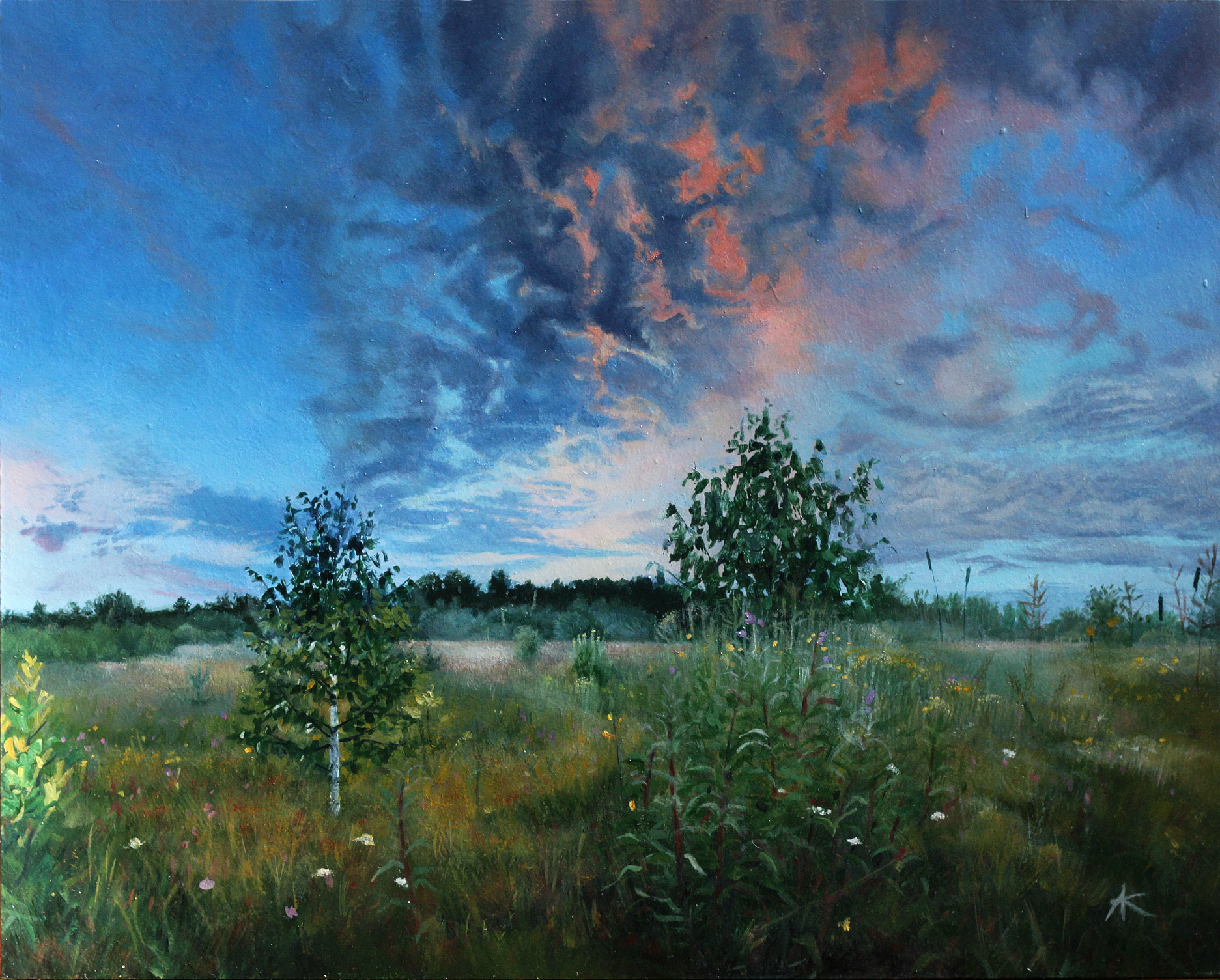 Evening meadow