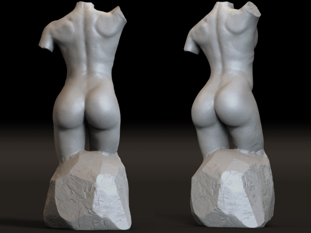 Female torso