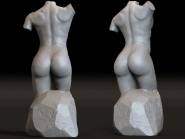 Female torso