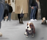 puppy.jpg