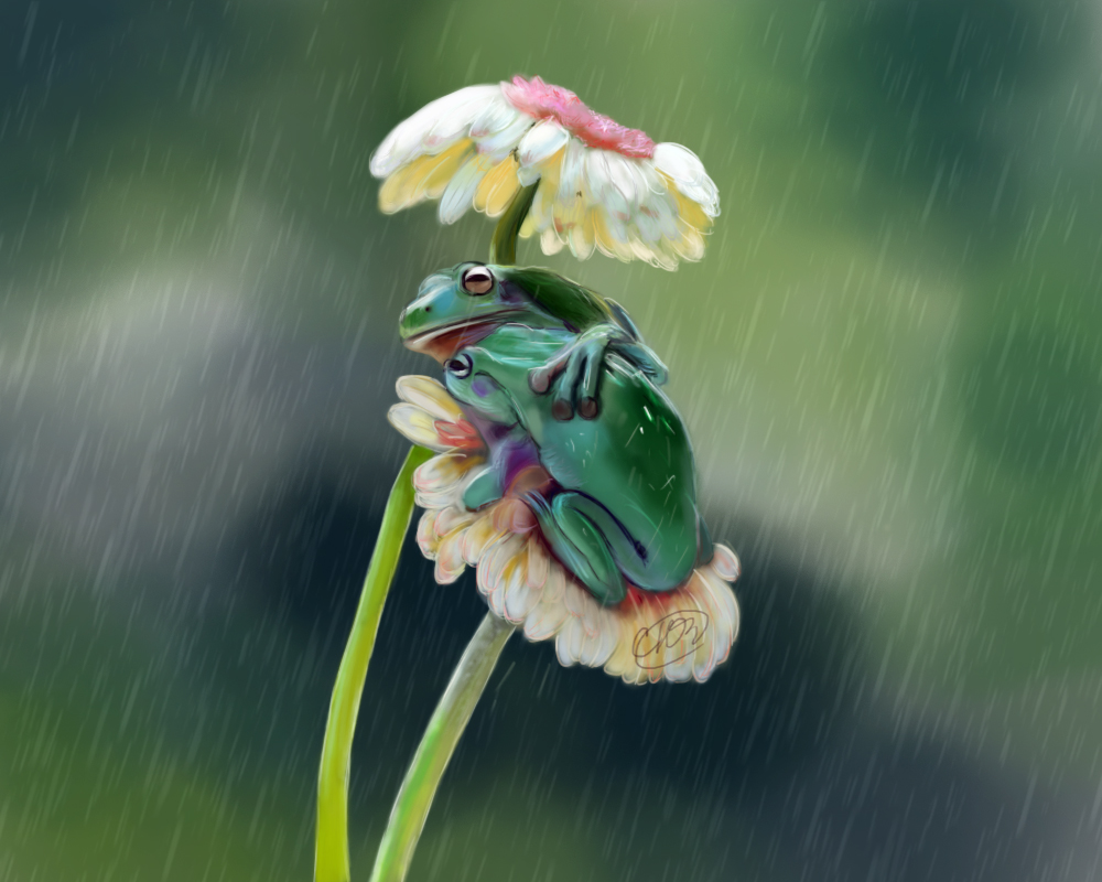 illustration