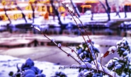 Etude #180121DSC4861.