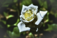 Etude#180527DSC5567.