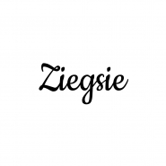 Логотип для немецкой компании Ziegsie