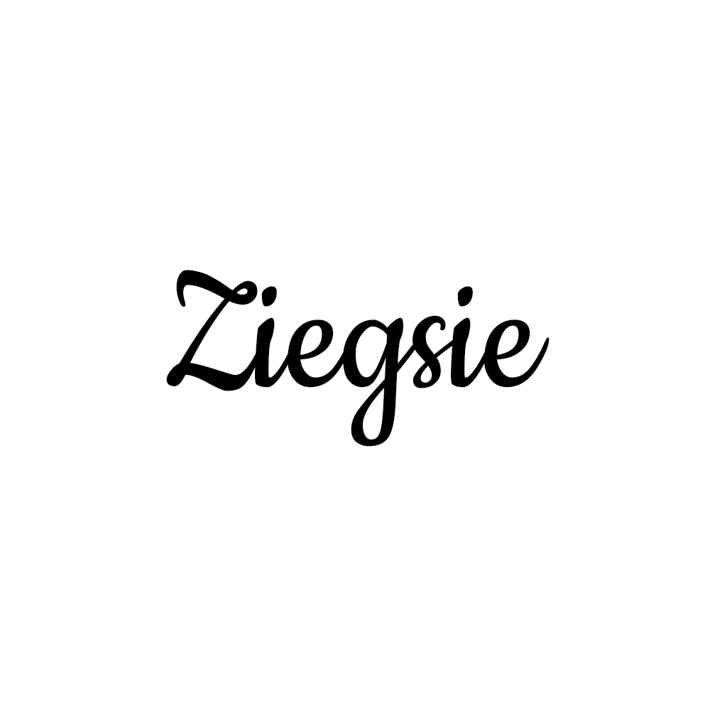 Логотип для немецкой компании Ziegsie