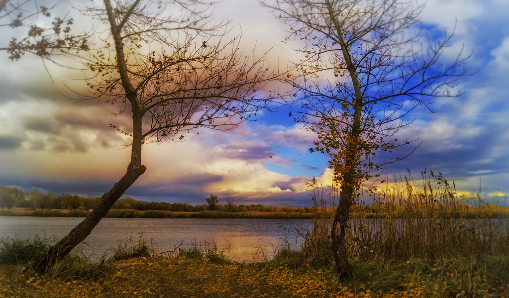 Etude #161030DSC2661.