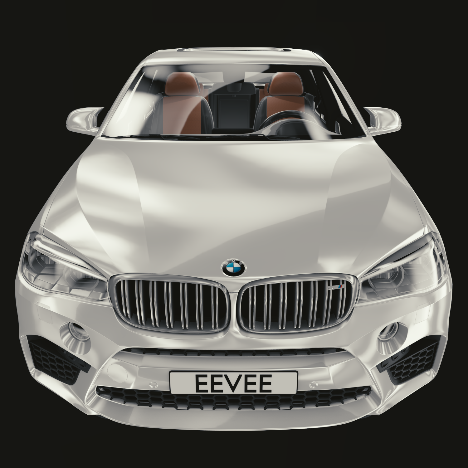 BMW X6M