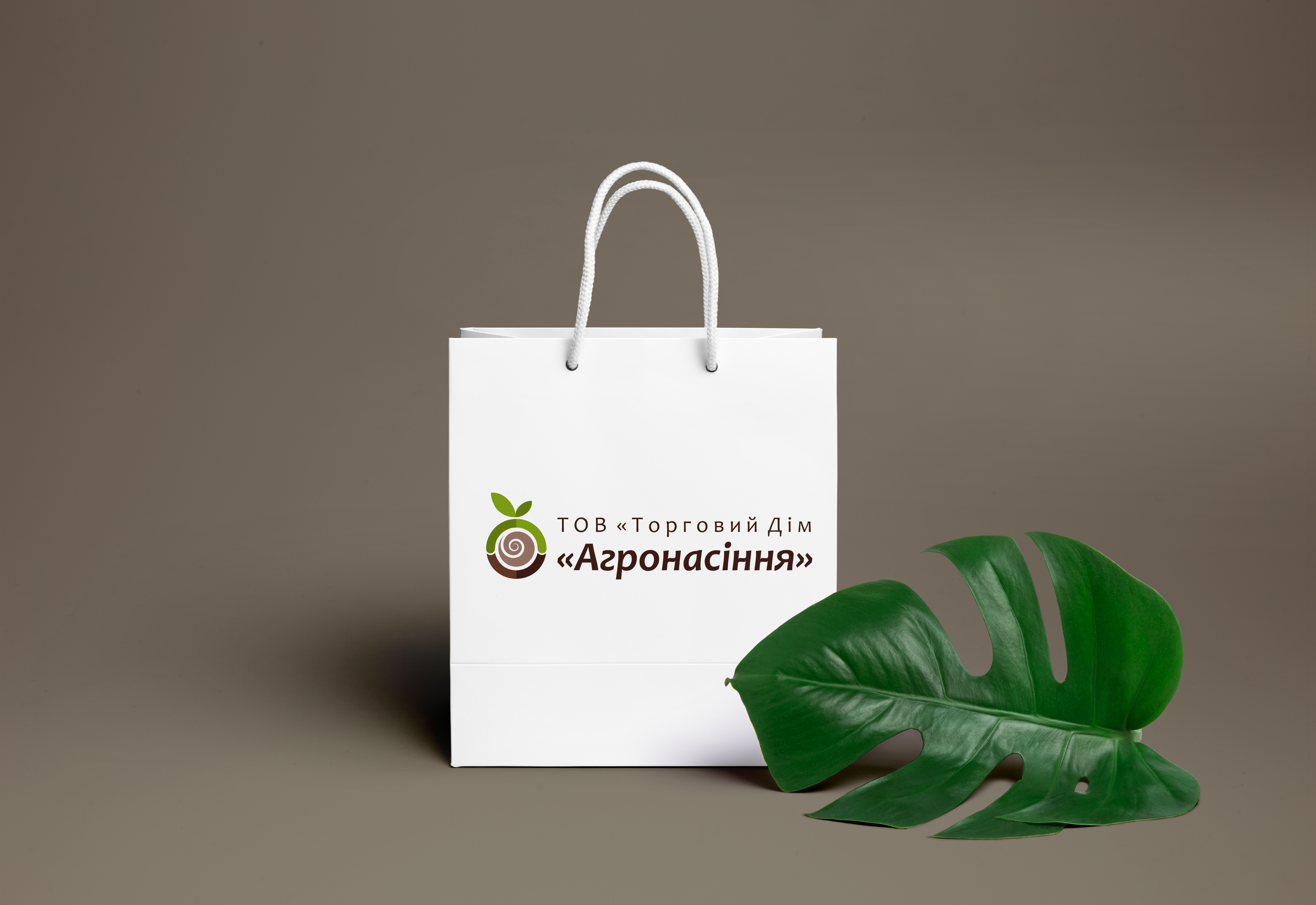 Разработка логотипа