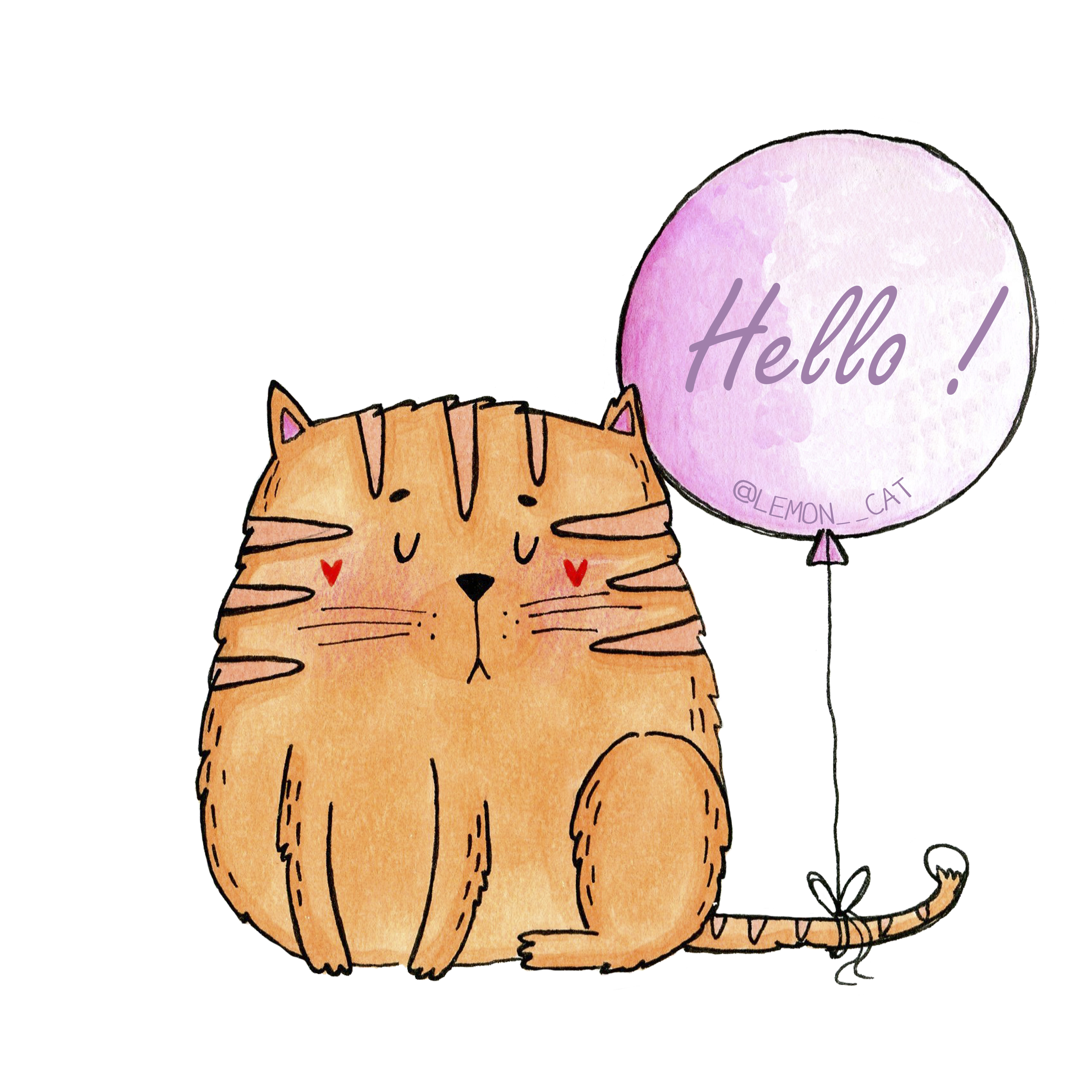 Hello!