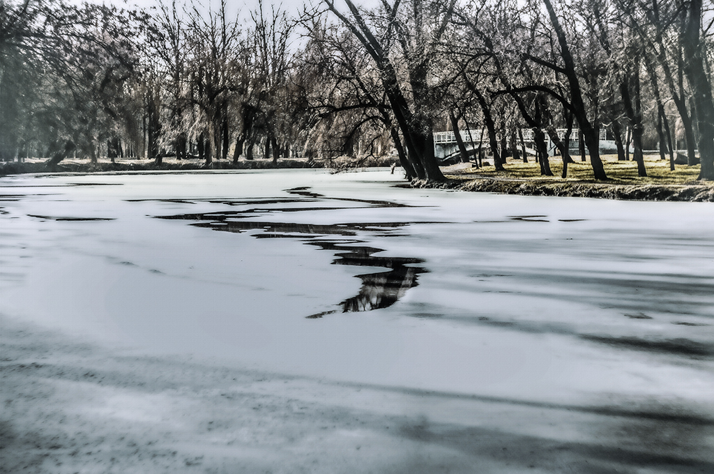 Etude #190131DSC7794.