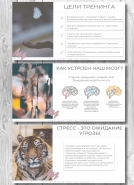 Презентация