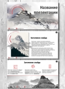 Презентация