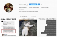 Развлекательная страница