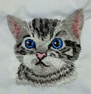 Кот 2