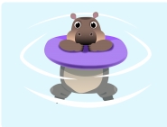 hipopotam