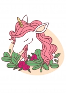 unicorn 2