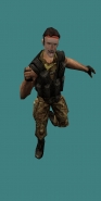 rabvart1.jpg