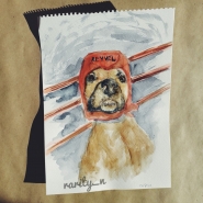 Собака