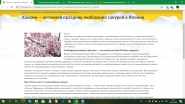 Ханами — весенний праздник любования сакурой в Японии