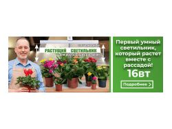 Банер на сайт в нише товары для дачи 