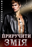 Обложка книги фентези