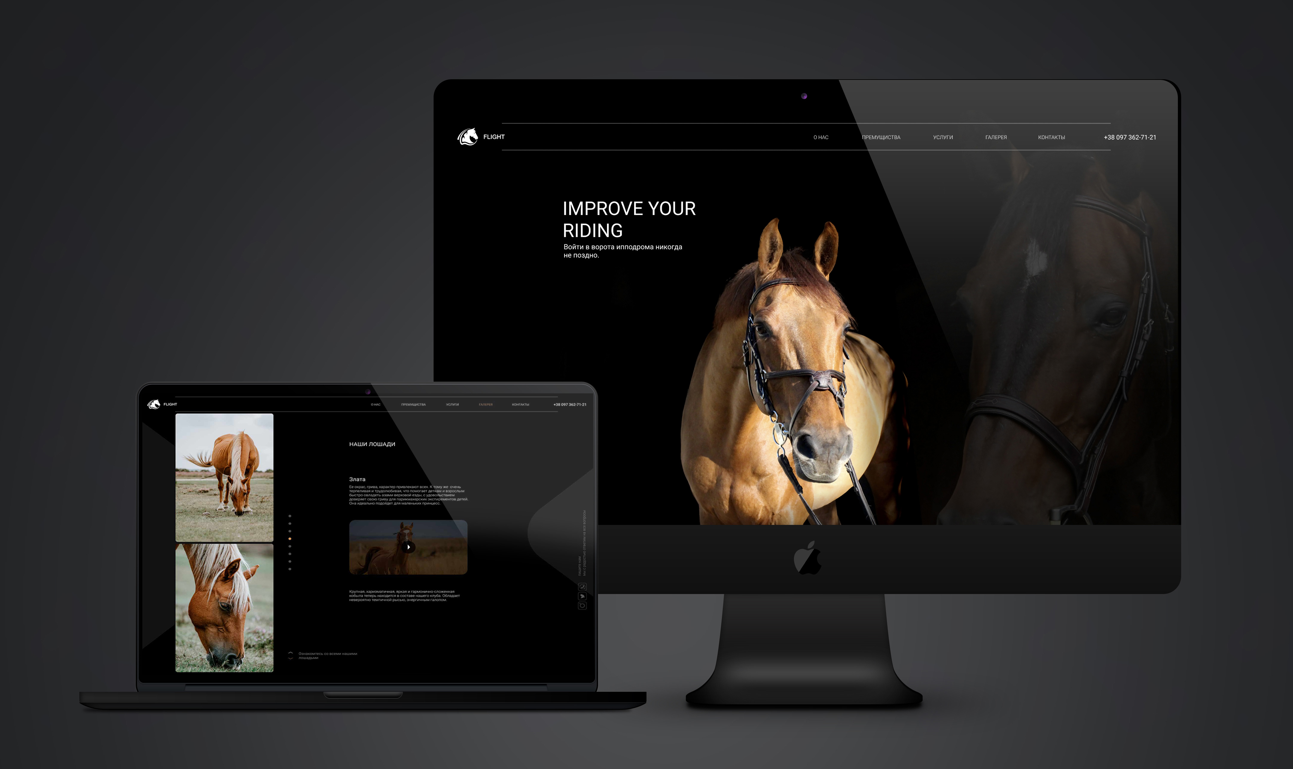 Дизайн сайта "Horse"