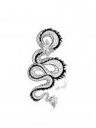 Tattoo dragon 