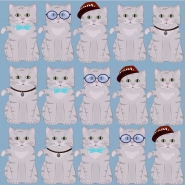 Котики