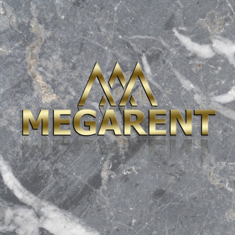 logo_action