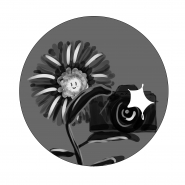 1592843133236.png