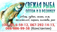 визитка