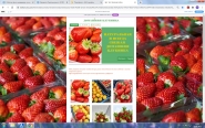 Дизайн сайта для домашнего хозяйства