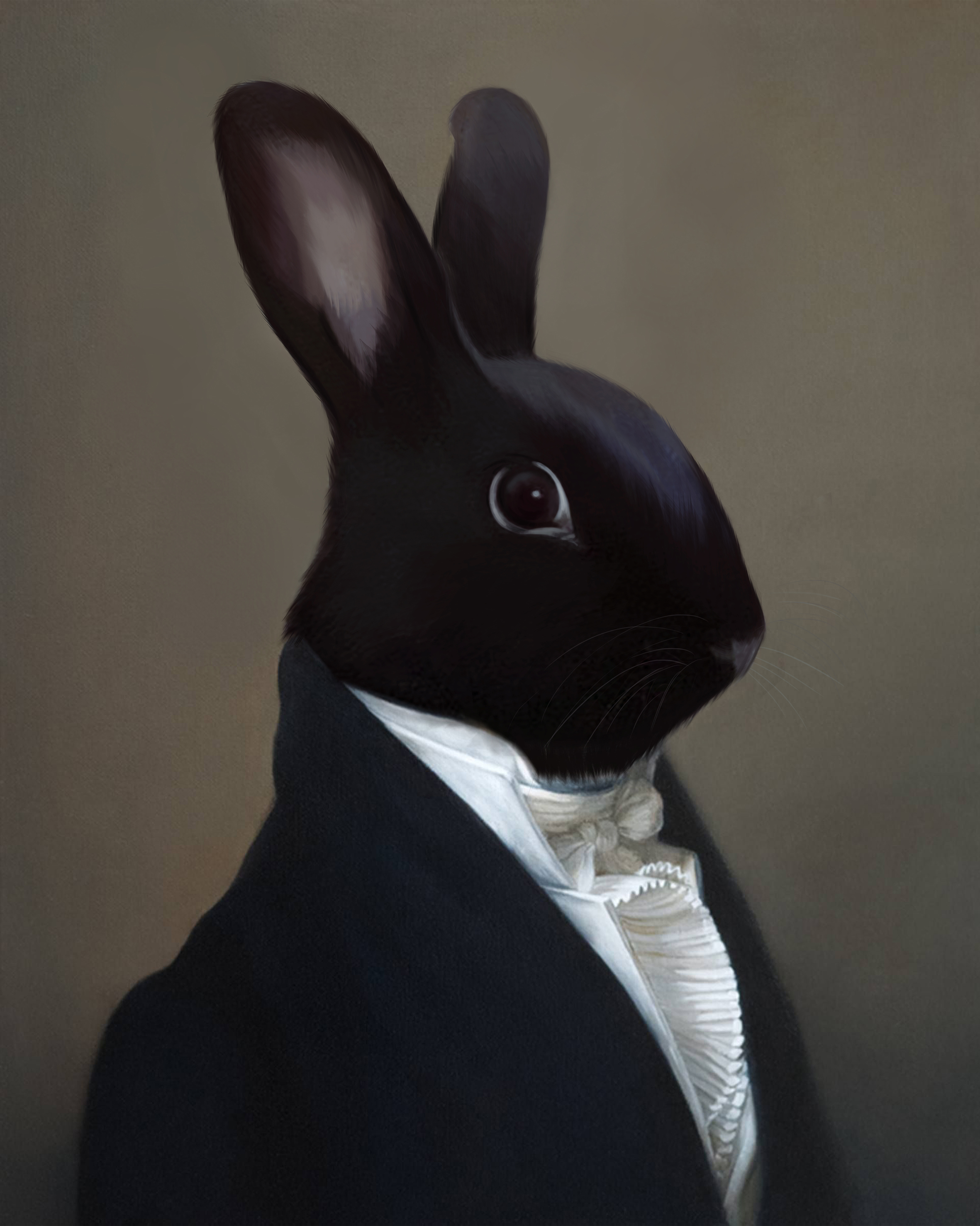 pet portraite