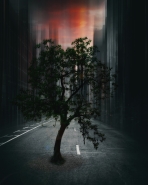 Blur tree