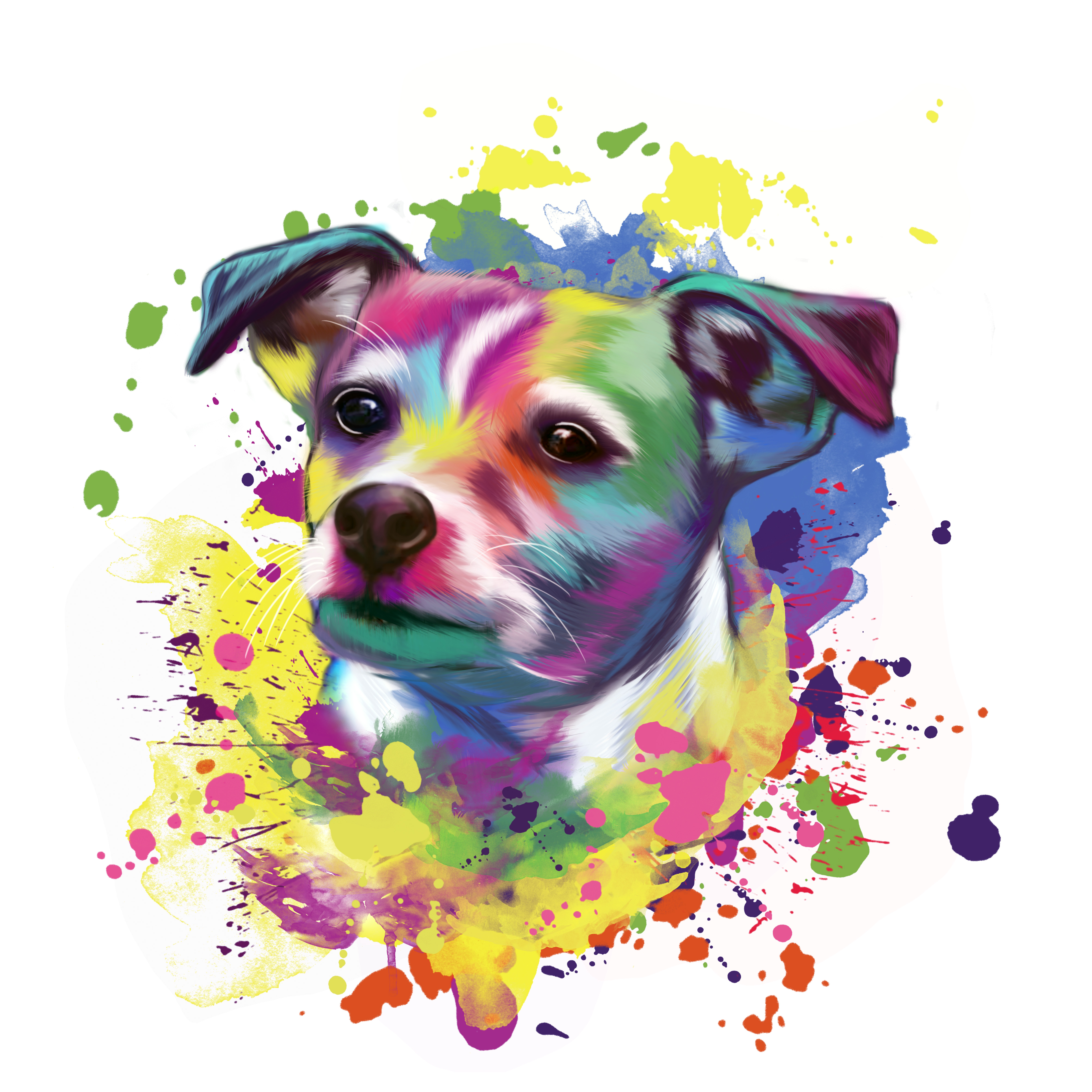 pet portraite
