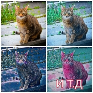 ПОП АРТ