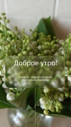портфолио сторимейкер