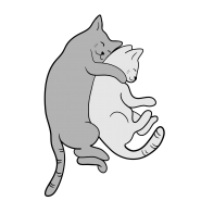 Коты