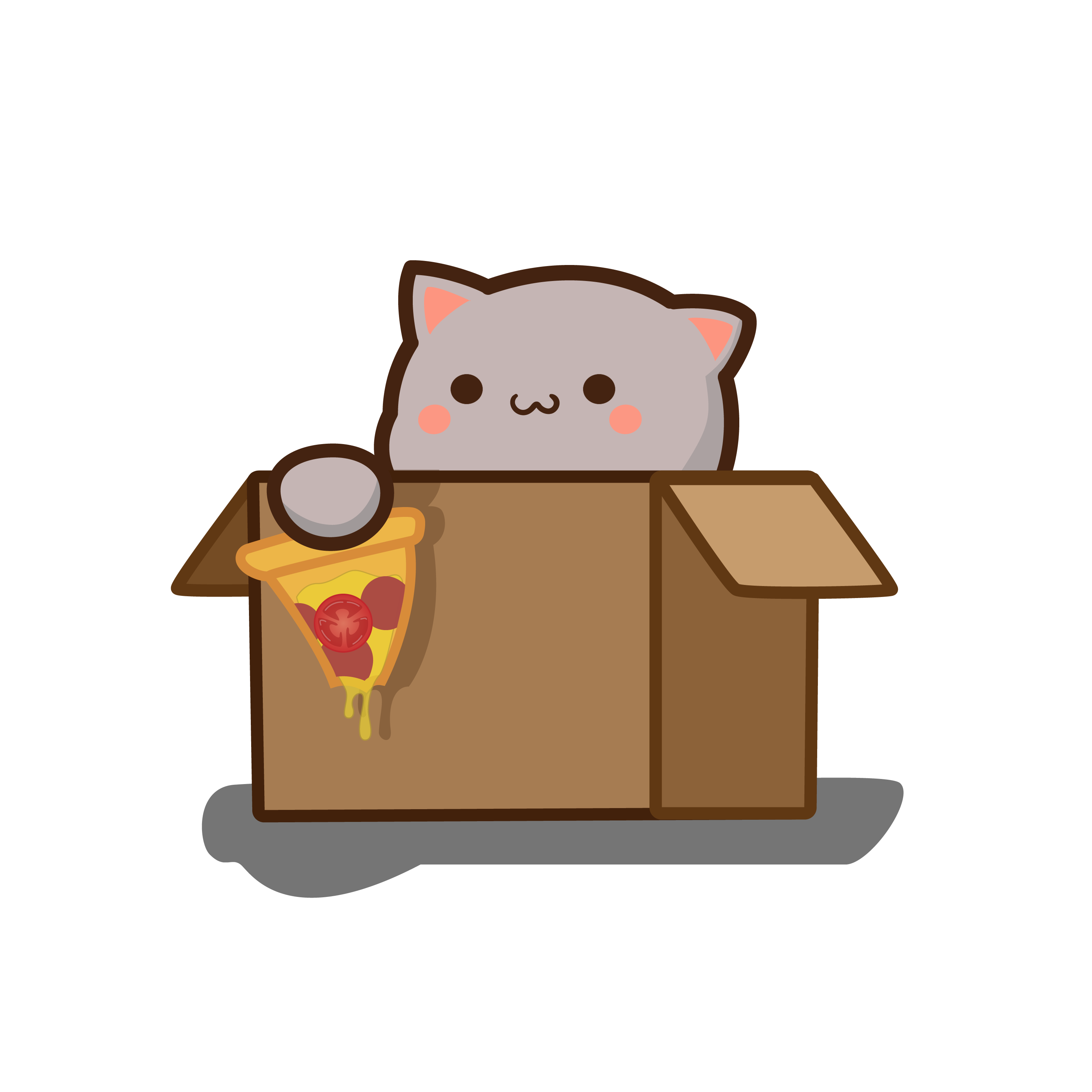 Кот в коробке